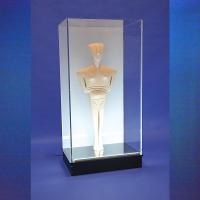 Boite en Plexiglass double Avec Pelle Slatwall Dim 40x31x20cm