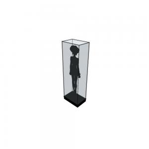 Grande vitrine cloche sur mesure