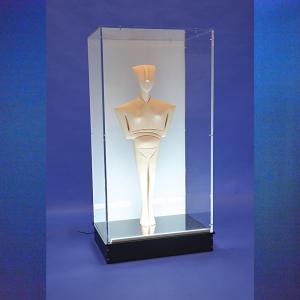 Vitrine Table Plexiglas