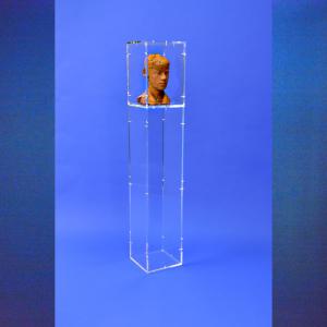 Vitrine sur Socle