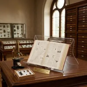 Lutrin Chevalet de Bibliothèque