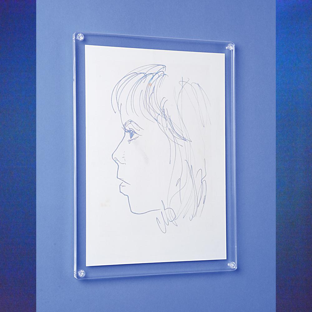 Portes affiches plexiglass
