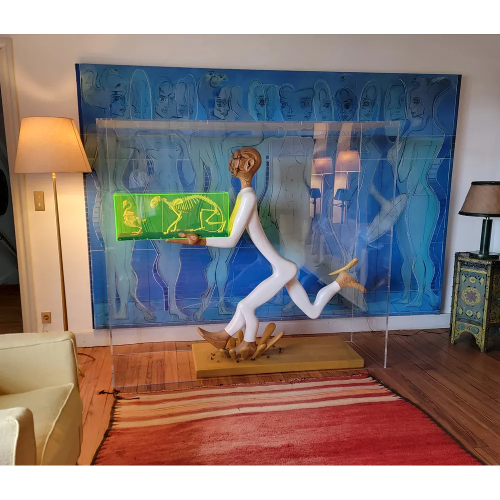 Grande vitrine sur mesure